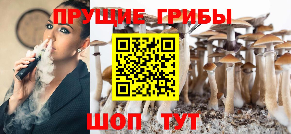 Псилоцибиновые грибы Cubensis  Вход с VPN  Вичуга  Псилоцибиновые грибы мицелий 
